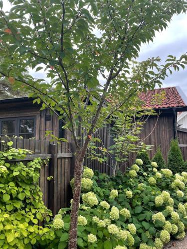 Orangeriet in Tvaaker