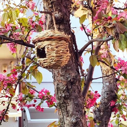 Appartamento Signorini Bolognaholidayhome - Parcheggio e Giardino privato - Holiday House Bologna Garden Parking, Болонья (фото 3)