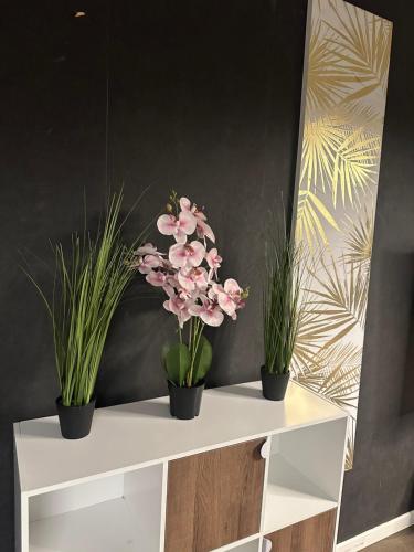 Appartement Claudel Netflix Saint Quentin en Yvelines in มอนติกนี่ เลอ เบรตันโน