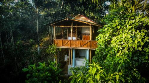 Toucan Lodge