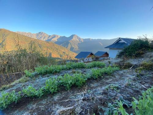 Hill Garden Homestay in Kaluka