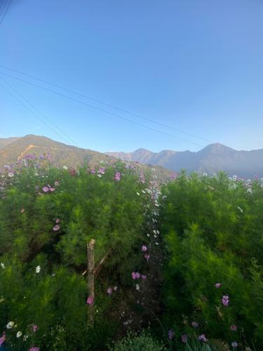 Hill Garden Homestay in Kaluka