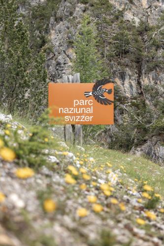 Hotel Baer & Post Zernez - image 5