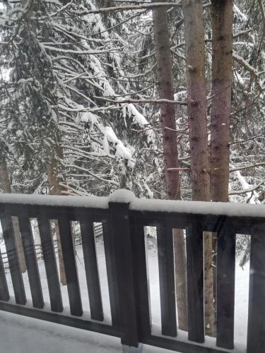 Ruža Vetrova 4 Ruža Vetrova 4