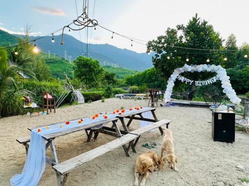 Surrounding environment, Homie Hava Homestay near Elephant Springs