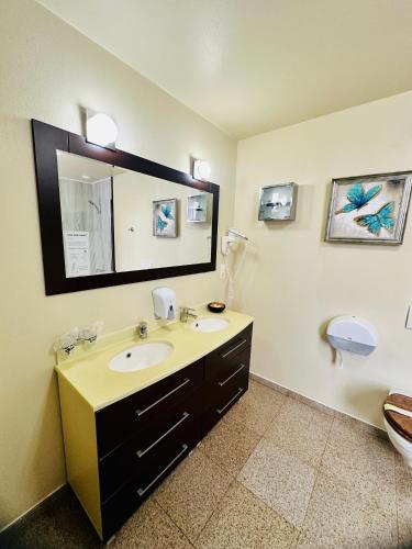 Apartment image 1