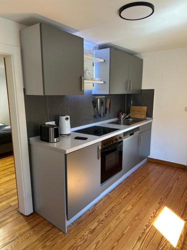 Loreley 2 Zimmerwohnung mit Hof und Garten in Sankt Goar városközpont