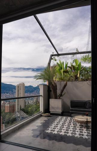 Vive Pisoverde - a Loft with a green soul, Medellín (fotografie 6)