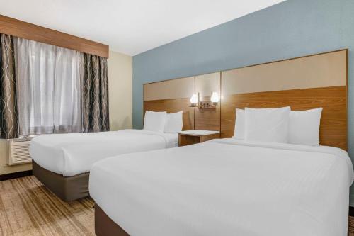 Two-Bedroom King Suite with Two Double Beds and Sofa Bed - Kitchen