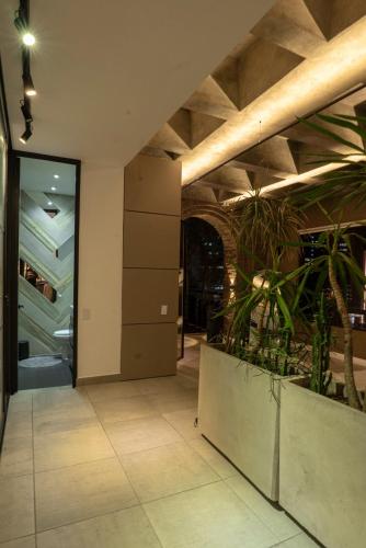 Vive Pisoverde - a Loft with a green soul, Medellín (fotografie 9)
