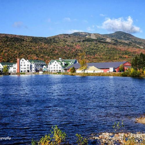 Snowy Owl Inn - image 11