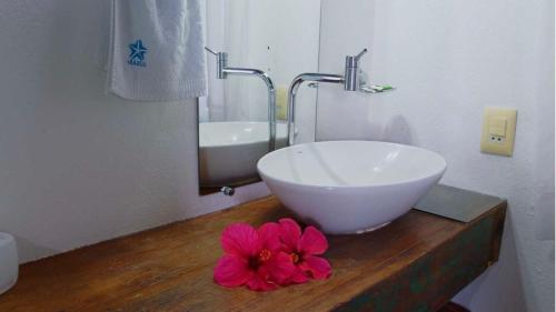 Standard Apartment image 5