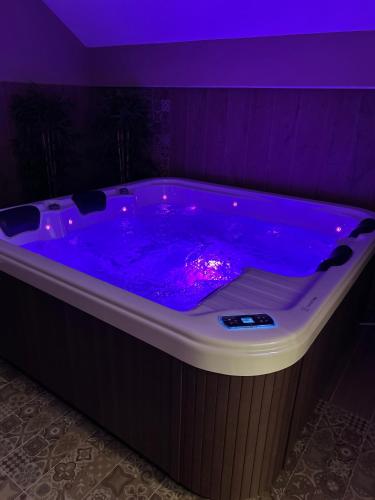 Central Lux Apartman Spa, Šabac