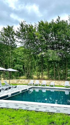 Vdoma Sheshory in 舍斯賀里