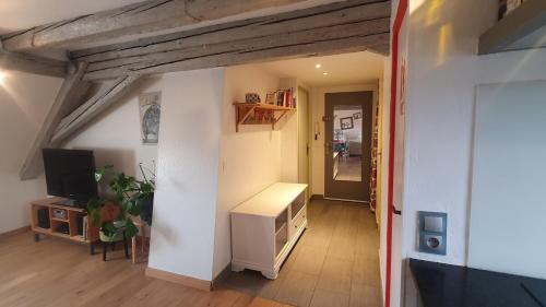 Mon Ptit Nid T3 Duplex au coeur de la Krutenau, Strasbourg (photo 7)