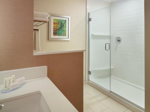 Fairfield Inn & Suites by Marriott Hendersonville Flat Rock - image 6