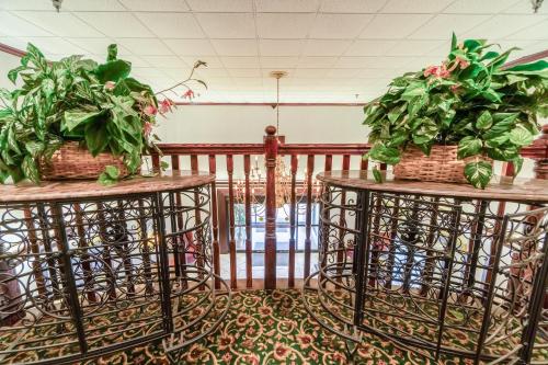 บริการและสิ่งอำนวยความสะดวก, Ark Suites By OYO Jonesboro I-555 in โจเนสโบโร (AR)