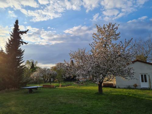 Auszeit in Märkische Schweiz in Müncheberg, Deutschland
