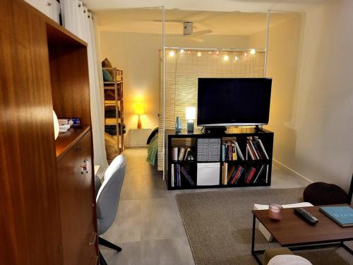 صالة مشتركة/ منطقة التلفزيون, Appartement de 30m2 agréable et chaleureux (Appartement de 30m2 agreable et chaleureux) in Perols