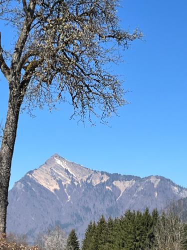 Chalet, vue sur la vallée, Domaine skiable Grand Massif, Morillon (photo 8)