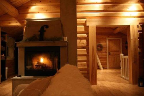 . Large and beautiful cabin