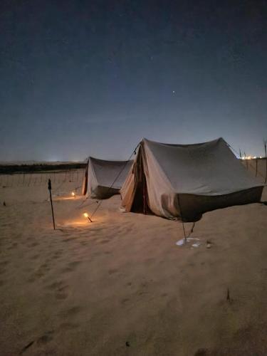 Luna Camp