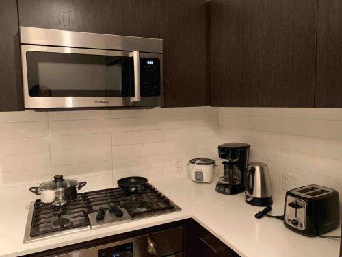 Amazing brand new 2bedr&2bathr in Richmond center