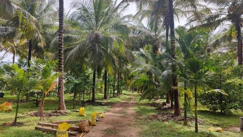 Dārzs, KV Farm house in Anaimalai