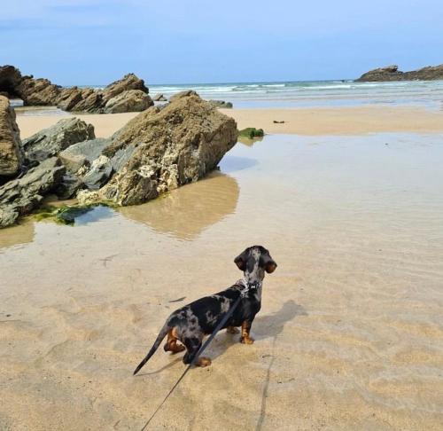 Gorgeous cottage for couples & small families in St Columb Minor