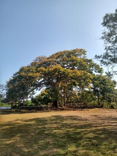 Навколишнє середовище, Hotel Doña Edita (Hotel Dona Edita) in San Bernardo del Viento