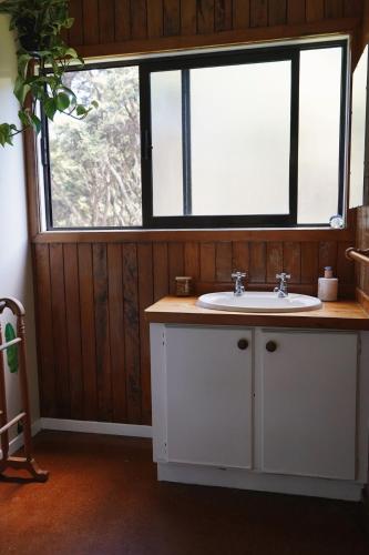 Okupu Beach House in เกาะเกรทแบร์ริเออร์