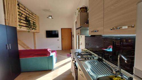 кухня, Rosa Room in Кастельнуово Клієнте