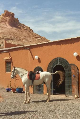 Riad Paradise of Silence