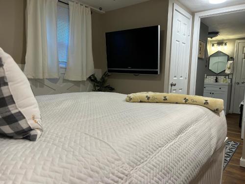 The Hive - Unique Themed Getaway