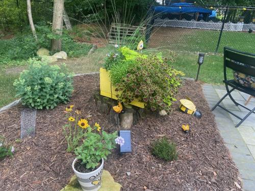 บริการและสิ่งอำนวยความสะดวก, The Hive - Unique Themed Getaway in บิลเลริกา (MA)