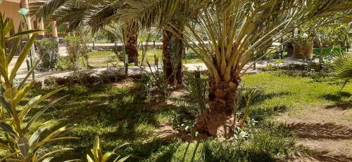 Sun Palmeraie - Book your Room Sun Palmeraie - Book your Room