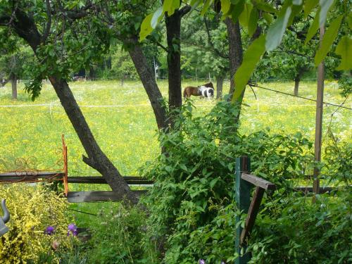 Le Nid de Saint Ours - image 2