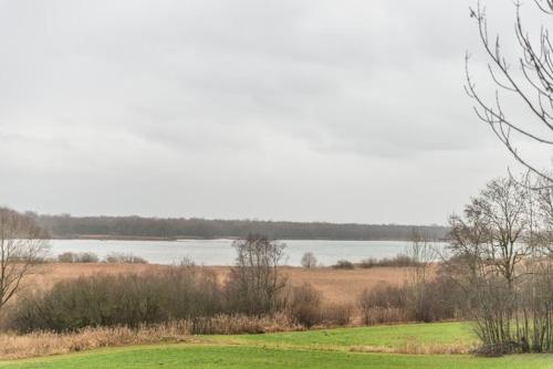 Chiemseefischer