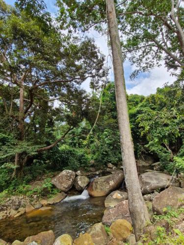 Cahaya Asah Resort Tioman Island Cahaya Asah Resort Tioman Island