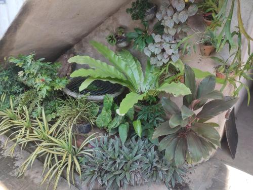 Easy guest apartment