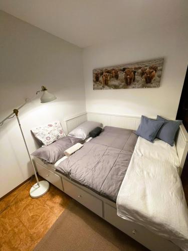 Apartment für Outdoorfreaks (Apartment fur Outdoorfreaks) in Hinterthal