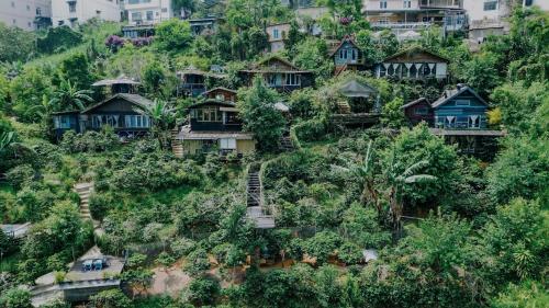 Cú Trên Cây Homestay - 주변 환경