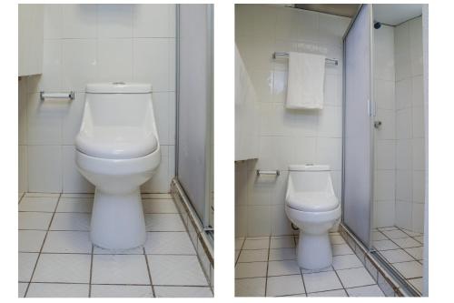 Standard image 1