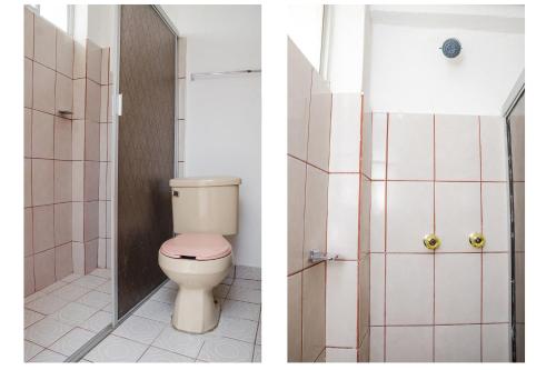 Standard Triple image 1