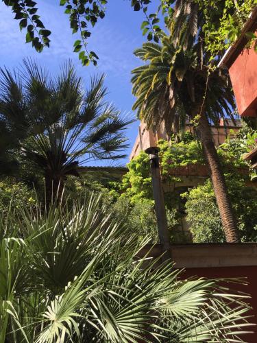 Margutta's Garden – Rome