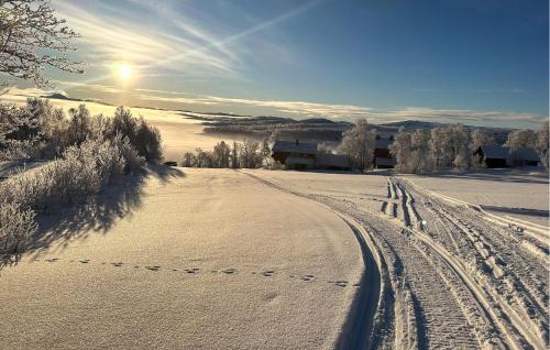 Viesnīcas āriene, Awesome Apartment In Rauland in Torvetjorn