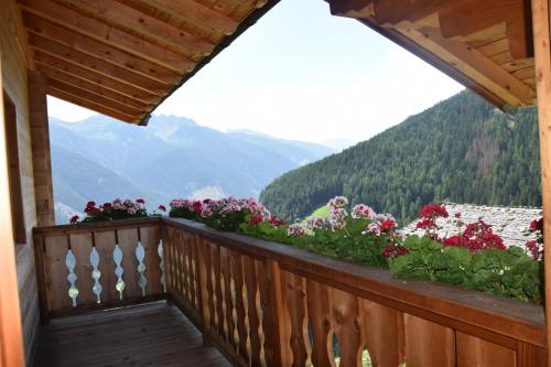 Výhled, Ortlerhof im Ultental - Urlaub auf dem Bauernhof in Ultimo