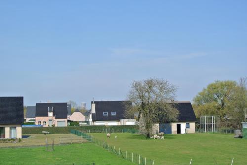 Lo-Gies - main image