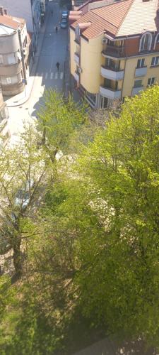 . Dunav centar 7