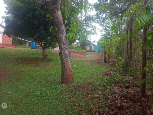 Apkārtne, Andy's home stay in Masindi
